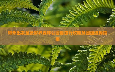 郴州出发至张家界森林公园自由行攻略及团组选择指南