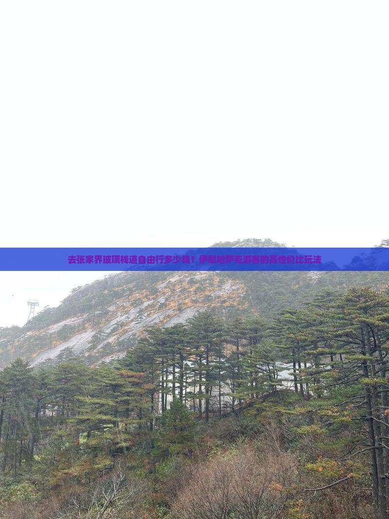 去张家界玻璃栈道自由行多少钱？伊犁哈萨克游客的高性价比玩法