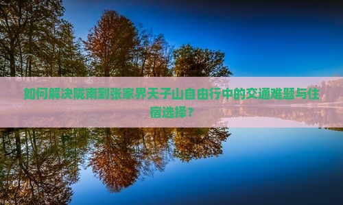 如何解决陇南到张家界天子山自由行中的交通难题与住宿选择？