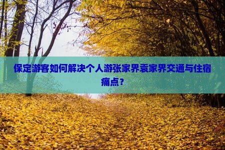 保定游客如何解决个人游张家界袁家界交通与住宿痛点？
