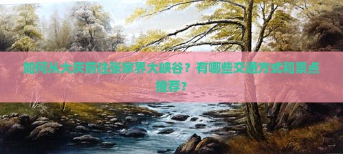 如何从大庆前往张家界大峡谷？有哪些交通方式和景点推荐？