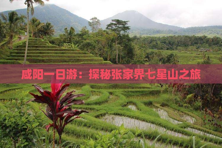 咸阳一日游：探秘张家界七星山之旅