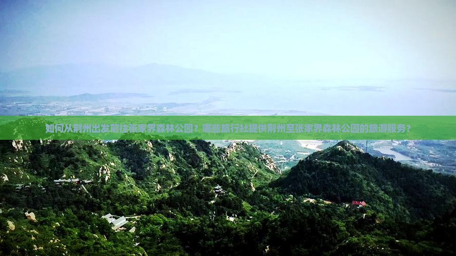 如何从荆州出发前往张家界森林公园？哪些旅行社提供荆州至张家界森林公园的旅游服务？
