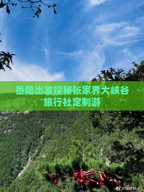 岳阳出发探秘张家界大峡谷旅行社定制游 岳阳出发探秘张家界大峡谷旅行社定制游