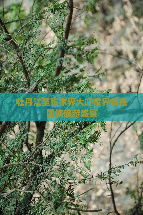 牡丹江至张家界大吓家界特色团体旅游盛宴