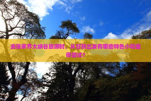 去张家界大峡谷旅游时，从甘孜出发有哪些特色小吃值得尝试？