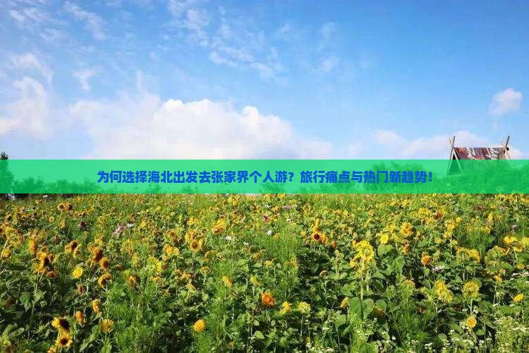 为何选择海北出发去张家界个人游？旅行痛点与热门新趋势！