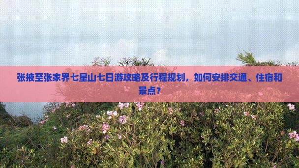 张掖至张家界七星山七日游攻略及行程规划，如何安排交通、住宿和景点？