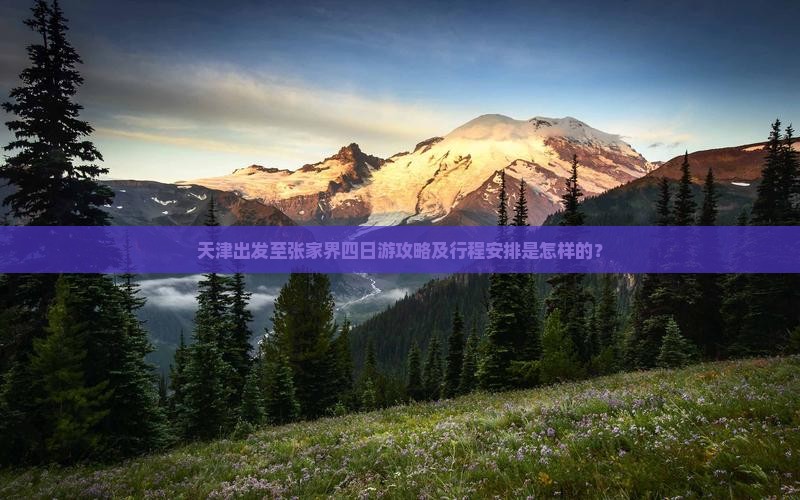 天津出发至张家界四日游攻略及行程安排是怎样的？