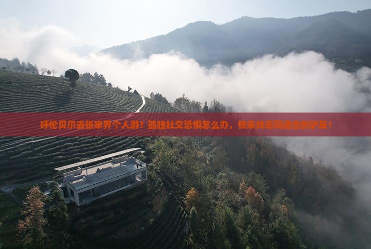 呼伦贝尔去张家界个人游？孤独社交恐惧怎么办，快来找志同道合的驴友！