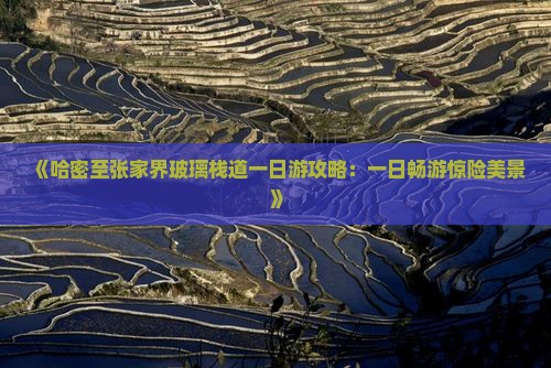 《哈密至张家界玻璃栈道一日游攻略：一日畅游惊险美景》