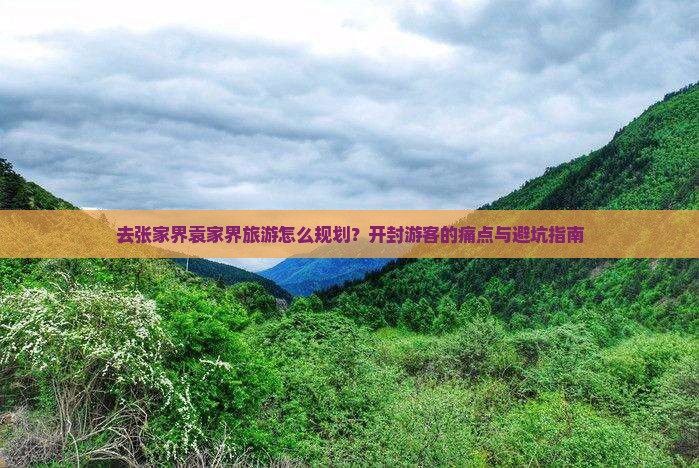 去张家界袁家界旅游怎么规划？开封游客的痛点与避坑指南