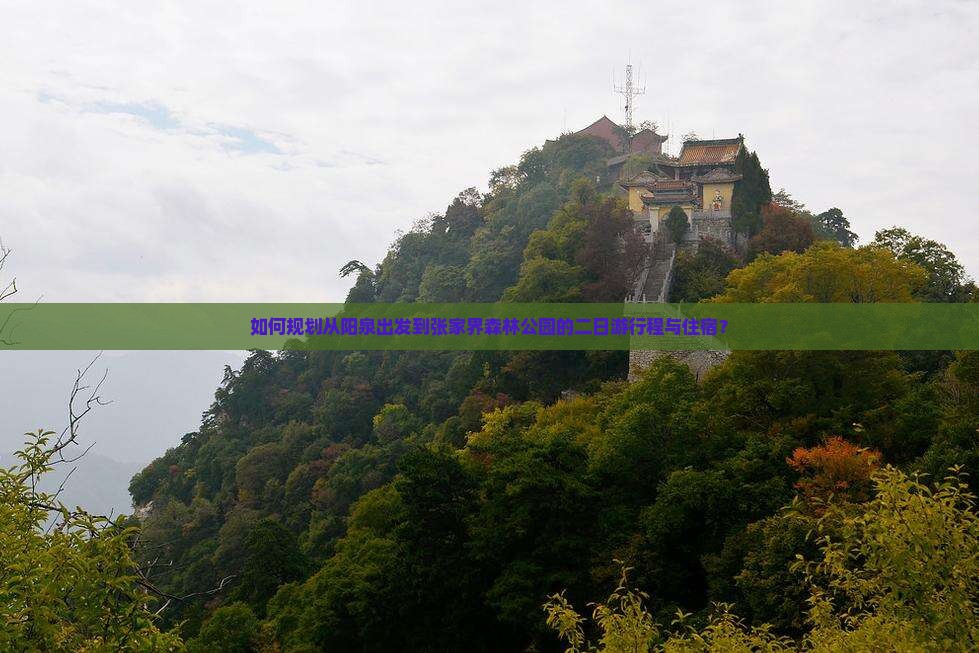 如何规划从阳泉出发到张家界森林公园的二日游行程与住宿？
