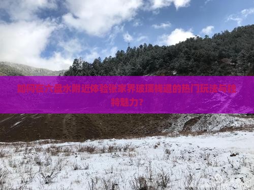 如何在六盘水附近体验张家界玻璃栈道的热门玩法与独特魅力？
