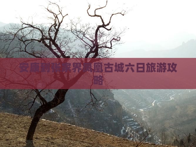 安康到张家界凤凰古城六日旅游攻略