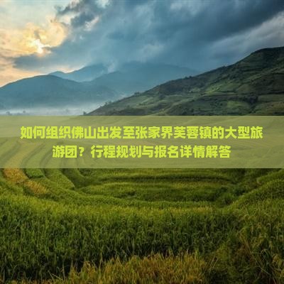 如何组织佛山出发至张家界芙蓉镇的大型旅游团？行程规划与报名详情解答
