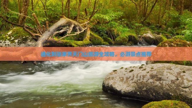 通化到张家界天门山旅游全攻略，必游景点推荐