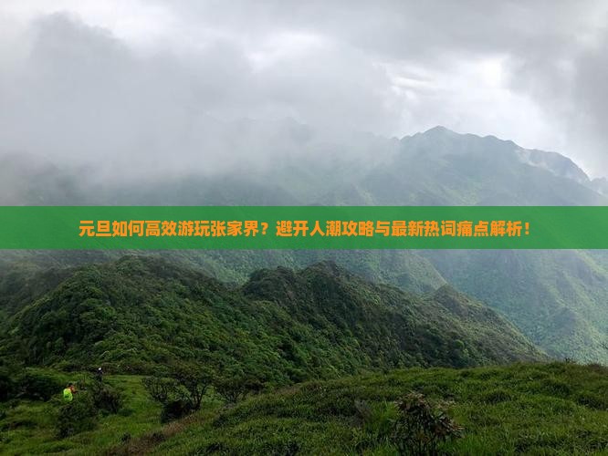 元旦如何高效游玩张家界？避开人潮攻略与最新热词痛点解析！