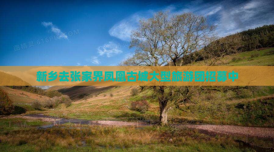 新乡去张家界凤凰古城大型旅游团招募中