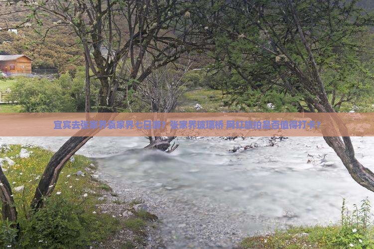 宜宾去张家界袁家界七日游？张家界玻璃桥+网红旅拍是否值得打卡？