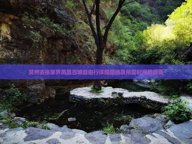 贺州去张家界凤凰古城自由行详细路线及所需时间和距离
