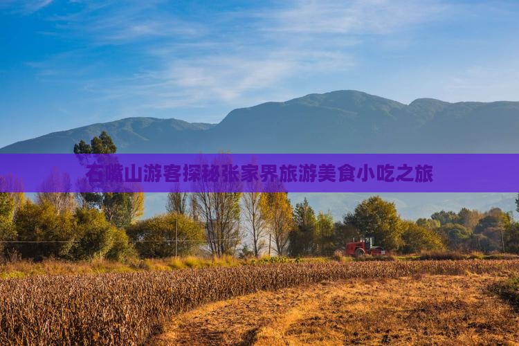 石嘴山游客探秘张家界旅游美食小吃之旅