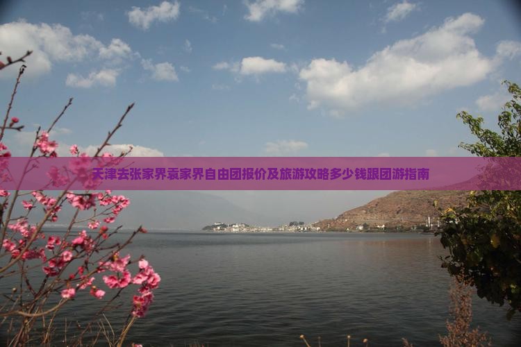 天津去张家界袁家界自由团报价及旅游攻略多少钱跟团游指南