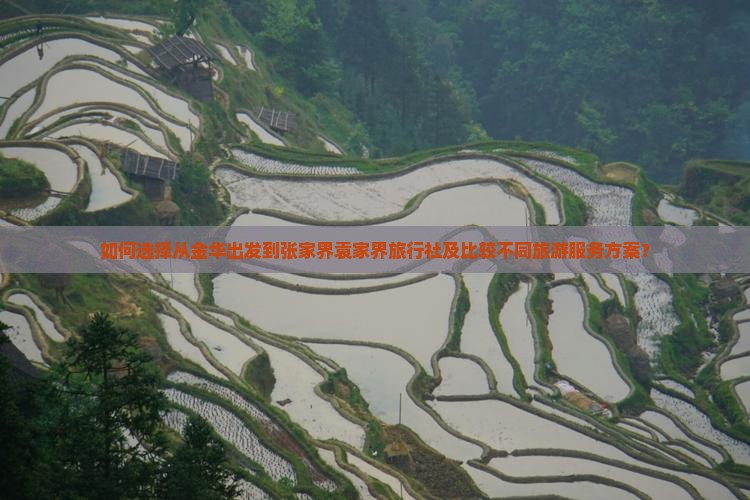 如何选择从金华出发到张家界袁家界旅行社及比较不同旅游服务方案？