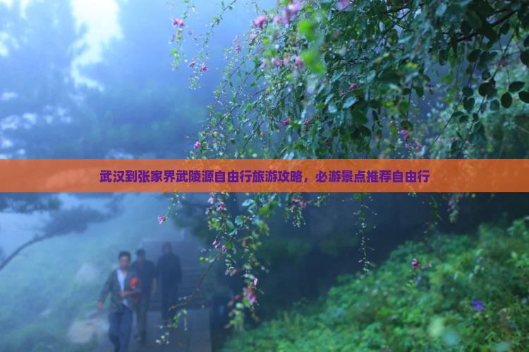 武汉到张家界武陵源自由行旅游攻略，必游景点推荐自由行