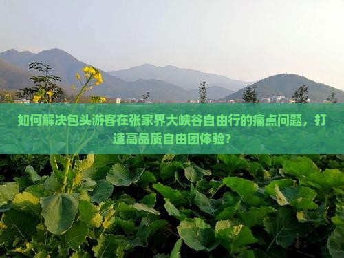如何解决包头游客在张家界大峡谷自由行的痛点问题，打造高品质自由团体验？