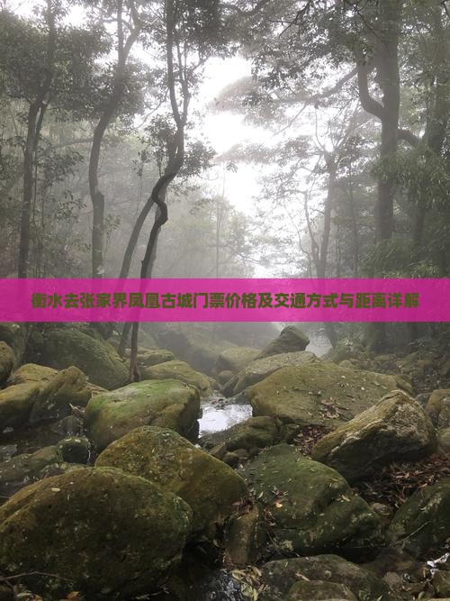 衡水去张家界凤凰古城门票价格及交通方式与距离详解