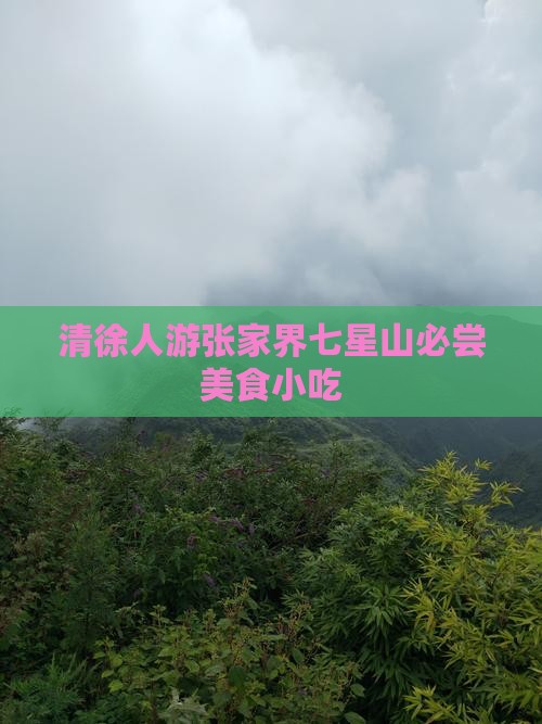 清徐人游张家界七星山必尝美食小吃