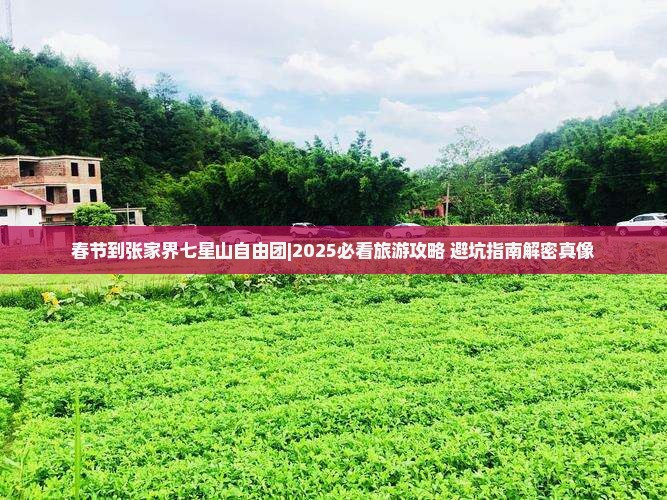春节到张家界七星山自由团