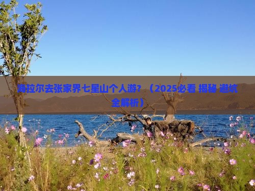 海拉尔去张家界七星山个人游