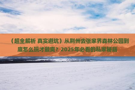 荆州到张家界森林公园旅行社