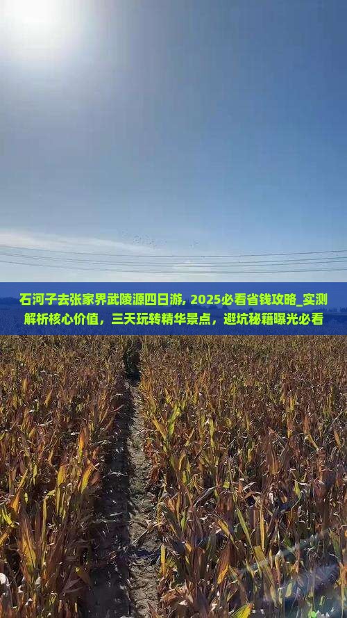 石河子去张家界武陵源四日游
