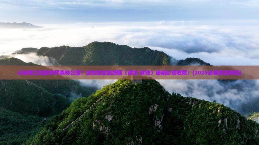 张家口到张家界森林公园大型旅游团