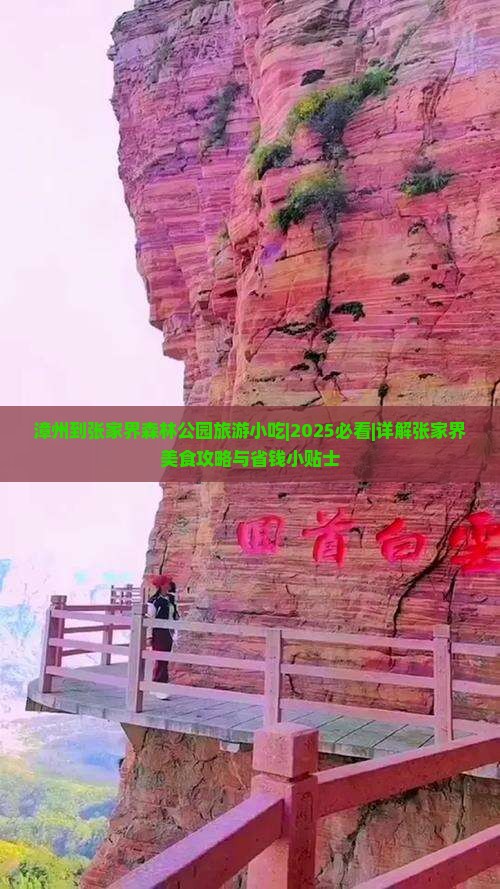 漳州到张家界森林公园旅游小吃