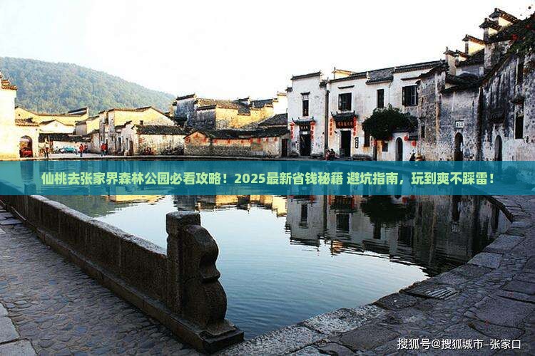 仙桃去张家界森林公园哪里玩
