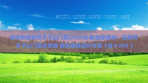铁岭到张家界天子山门票