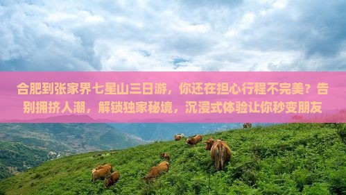 合肥到张家界七星山三日游
