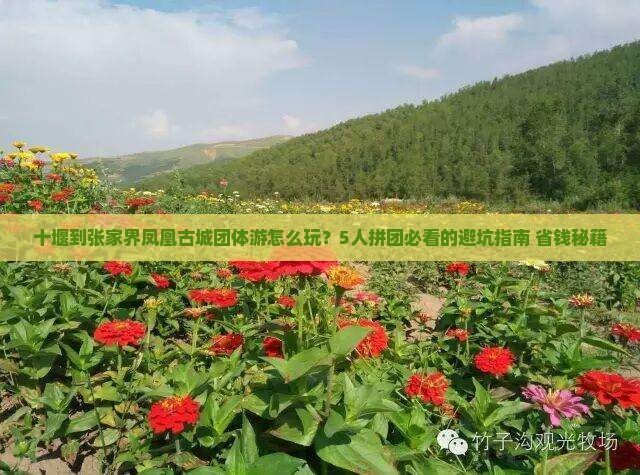 十堰到张家界凤凰古城团体旅游