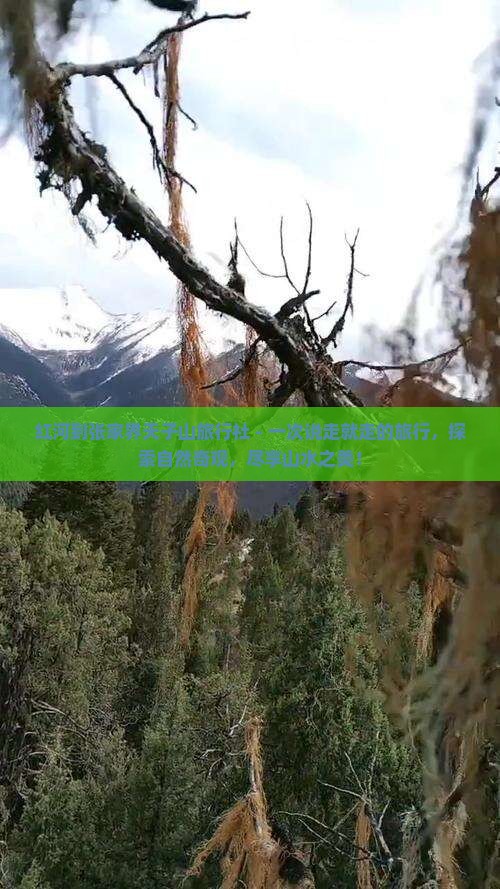 红河到张家界天子山旅行社