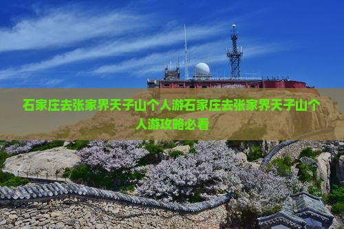 石家庄去张家界天子山个人游