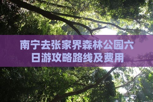 南宁去张家界森林公园六日游