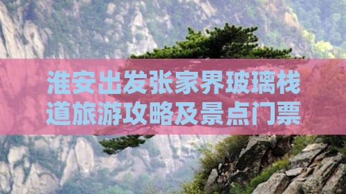 淮安去张家界玻璃栈道门票