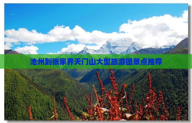 池州到张家界天门山大型旅游团