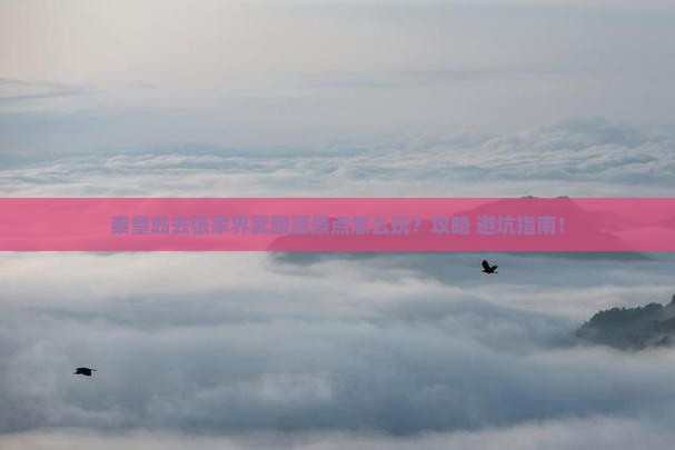 秦皇岛去张家界武陵源景点