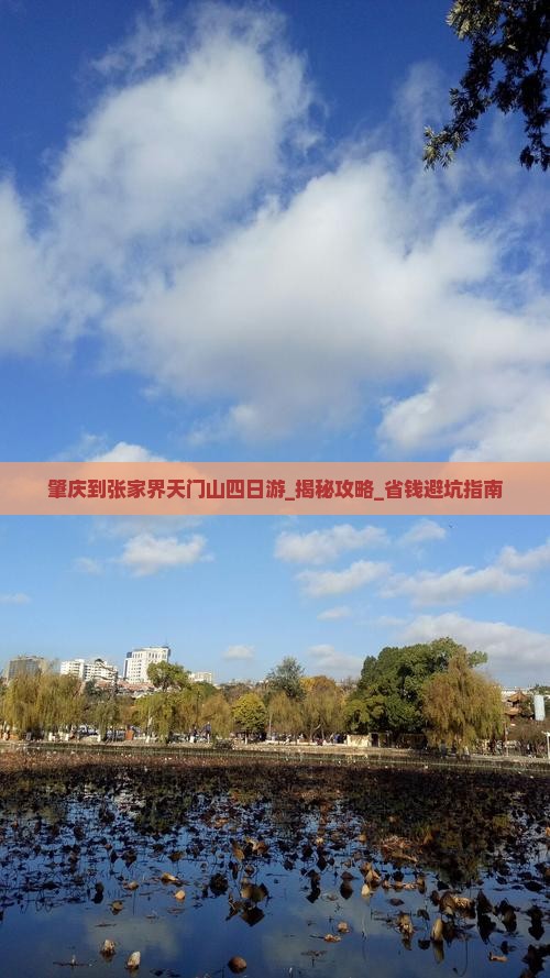 肇庆到张家界天门山四日游