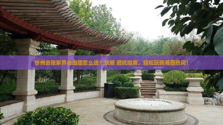 忻州去张家界自由团